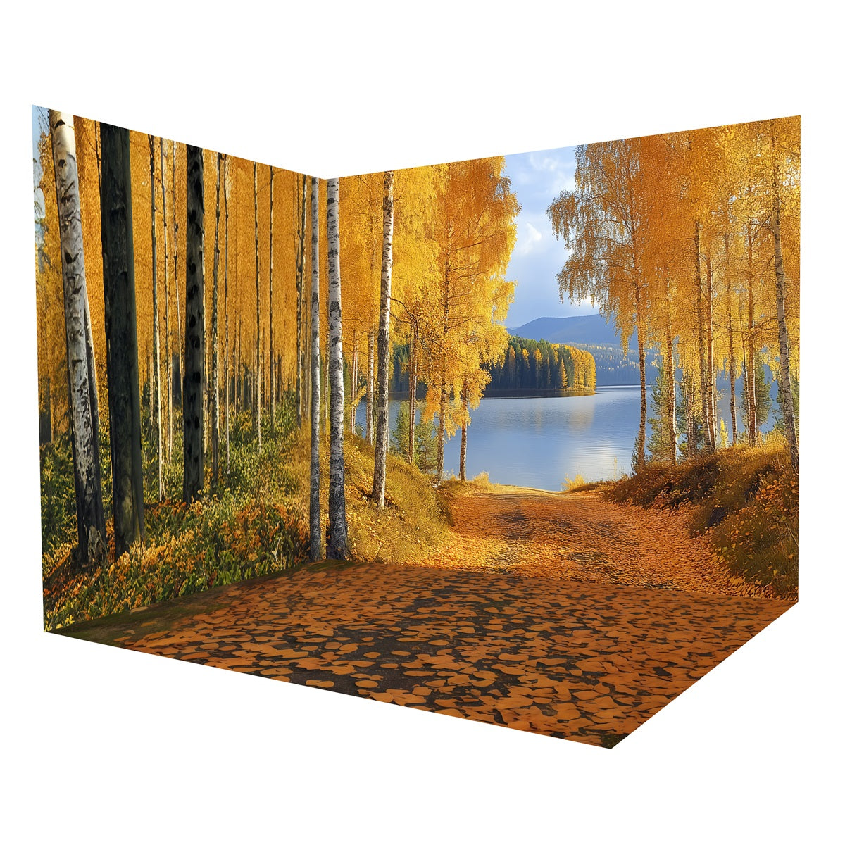 Fall Forest Backdrop Golden Birch Lake Path Backdrop Room Set UK MRR8-228