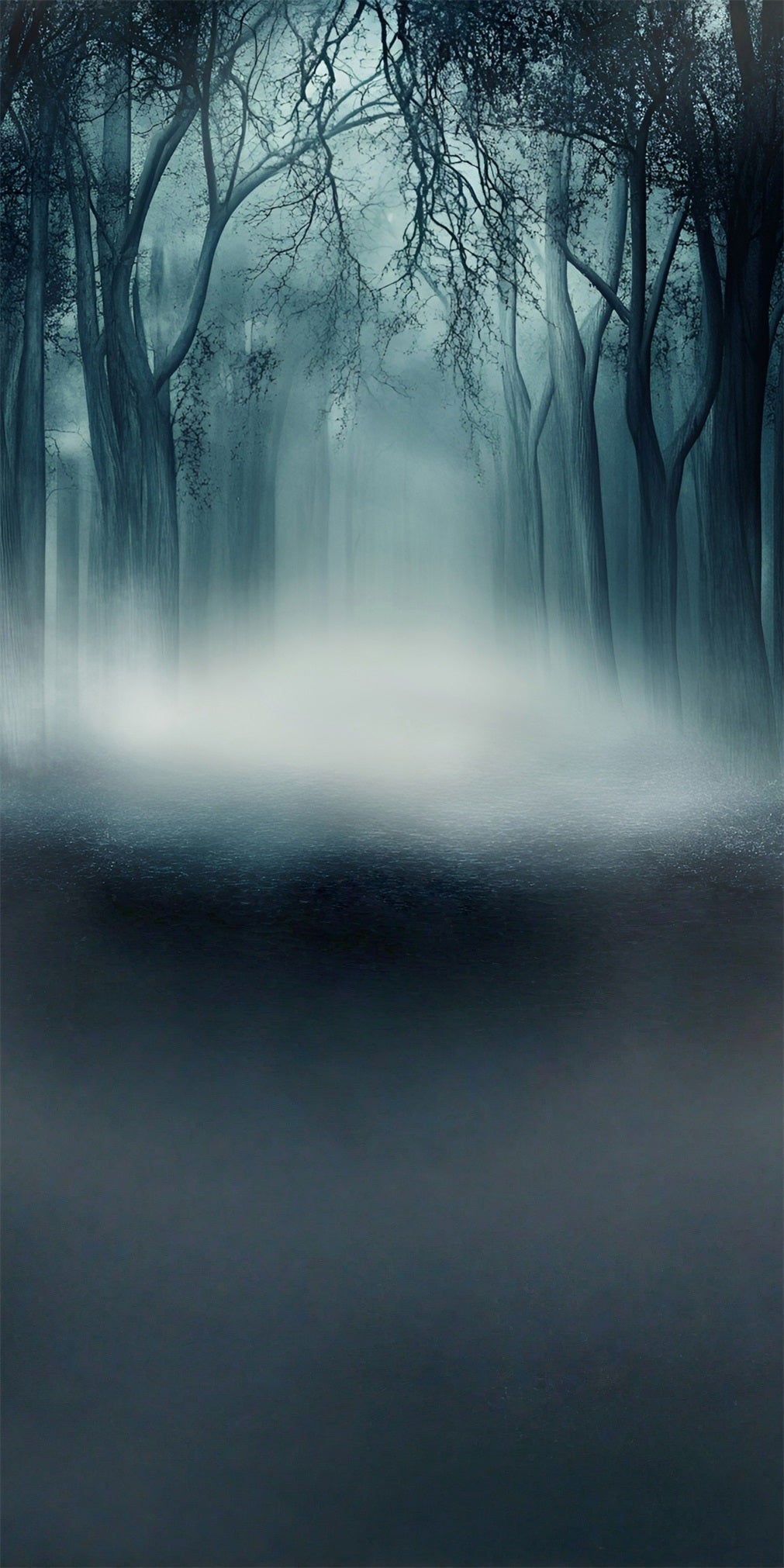Scary Halloween Backdrops Misty Deadwood Forest Sweep Backdrop UK MRR8-60