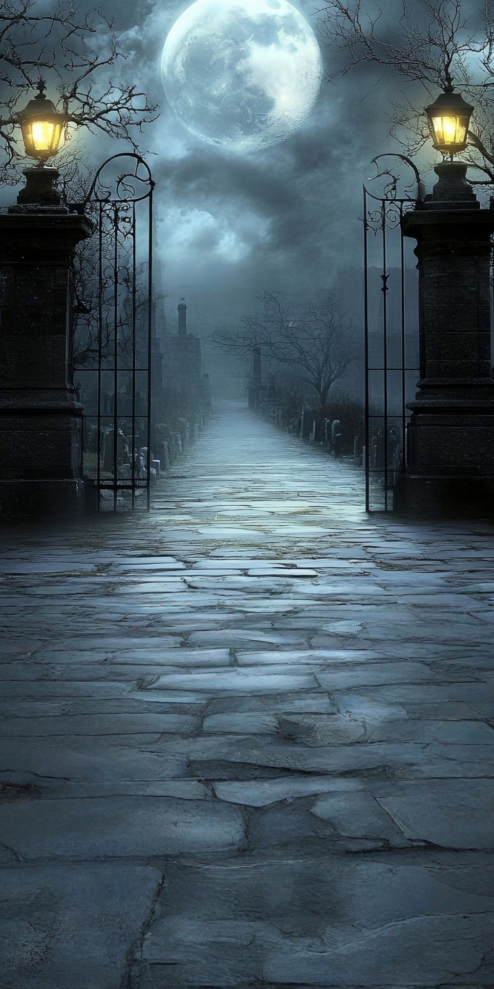 Halloween Backdrop Moonlit Night Misty Vintage Streetlight Cemetery Gates Sweep Backdrop UK MRR8-67