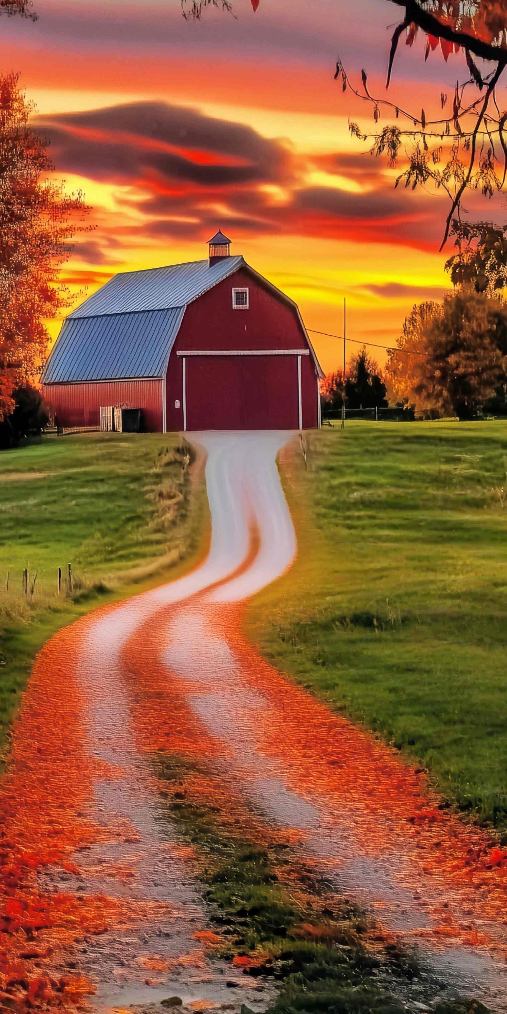 Fall Backdrops Golden Sunset Farm Road Sweep Backdrop UK MRR8-94