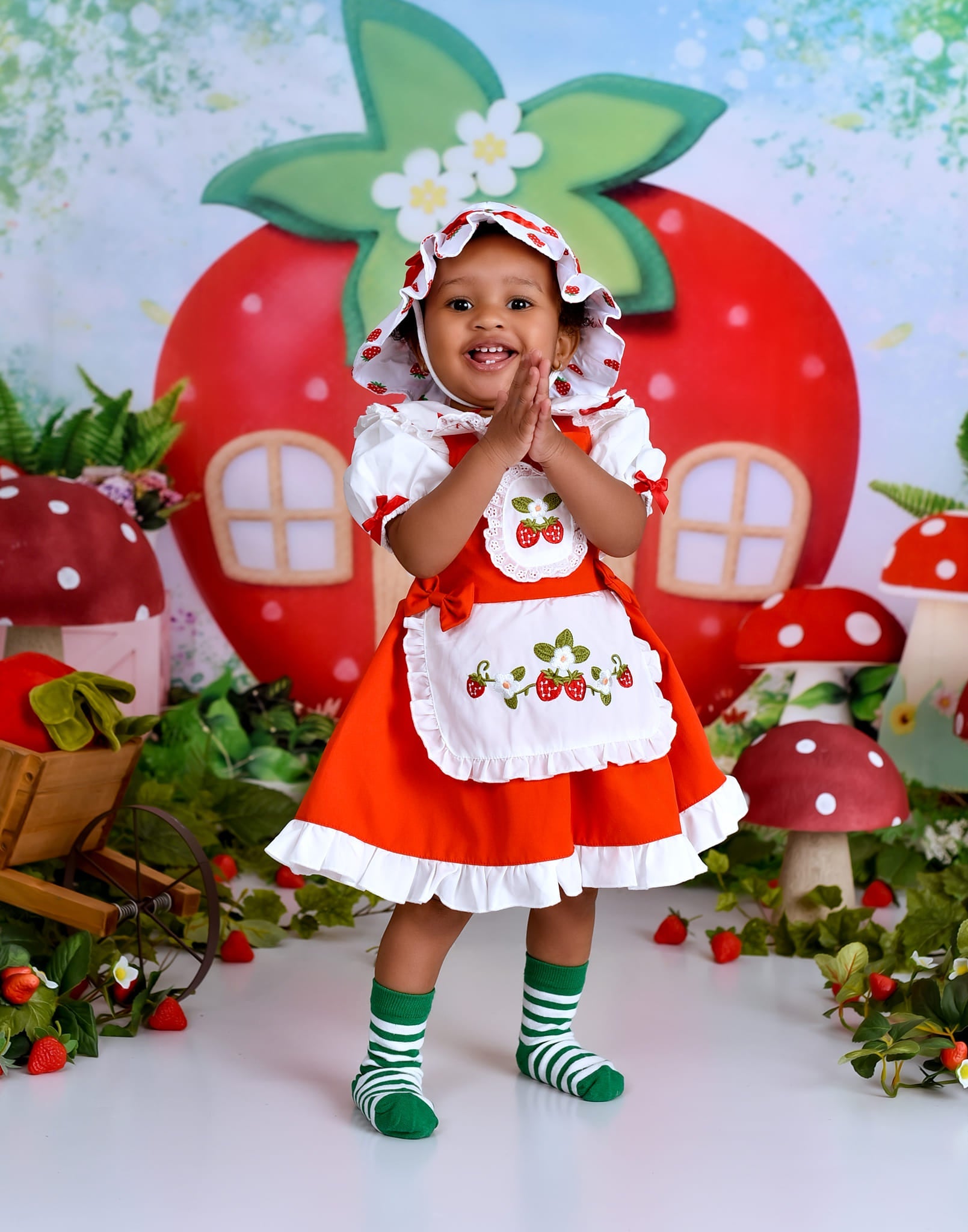 Children Backdrops Strawberry House Fairy Garden newborn Photography Backdrop UK MRR9-12