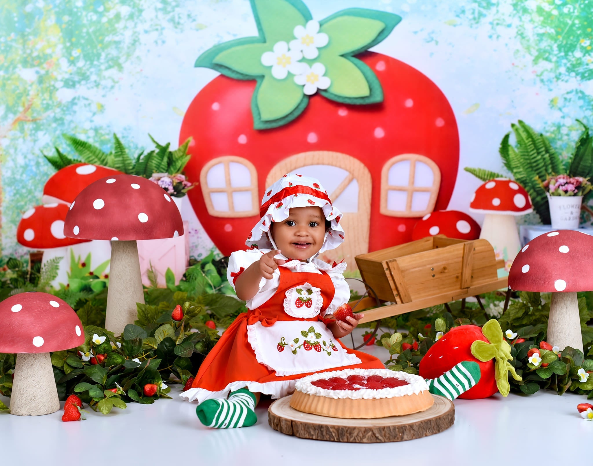 Children Backdrops Strawberry House Fairy Garden newborn Photography Backdrop UK MRR9-12