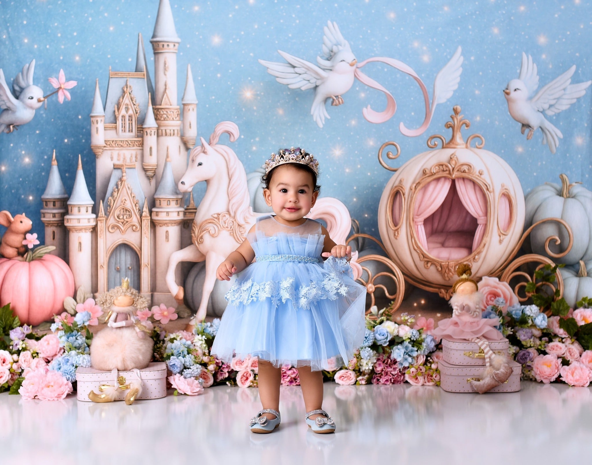 Castle Backdrop Fairy Tale Castle Carriage Newborn Photo Backdrop UK MRR9-16