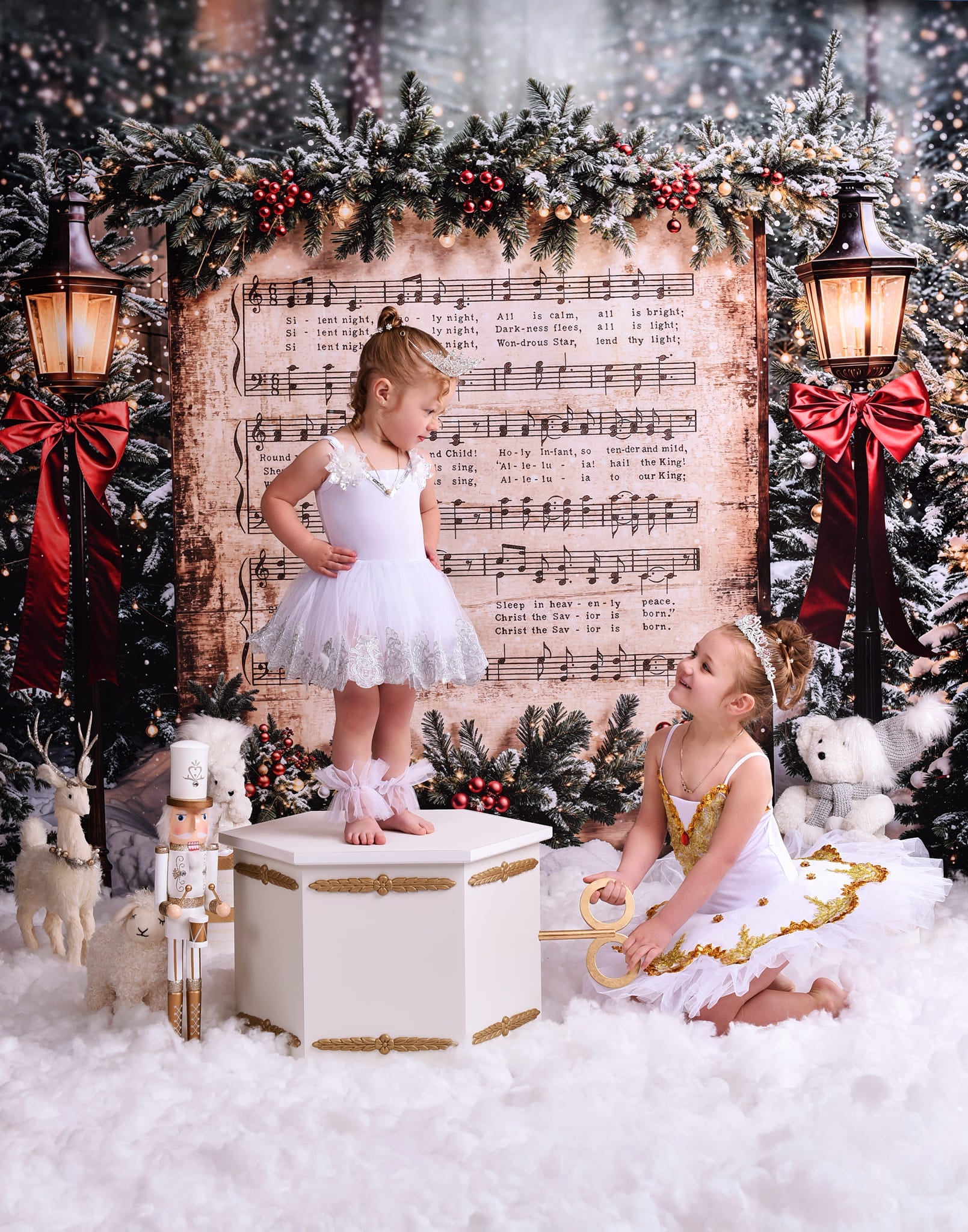 Joy To The World Backdrop Snowy Christmas Carol Music Christmas Backdrop UK MRR9-24