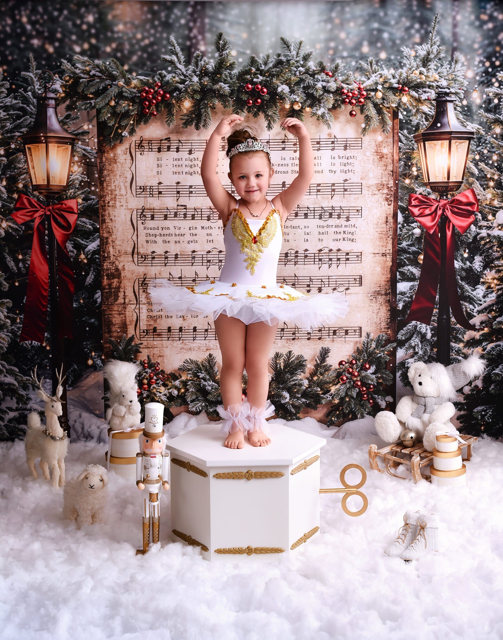 Joy To The World Backdrop Snowy Christmas Carol Music Christmas Backdrop UK MRR9-24