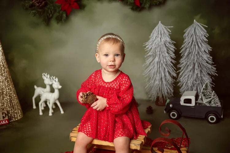 Vintage Backdrop Christmas Garland Pinecones Vintage Photo Backdrop UK MRR9-33