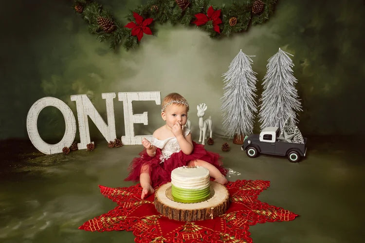Vintage Backdrop Christmas Garland Pinecones Vintage Photo Backdrop UK MRR9-33