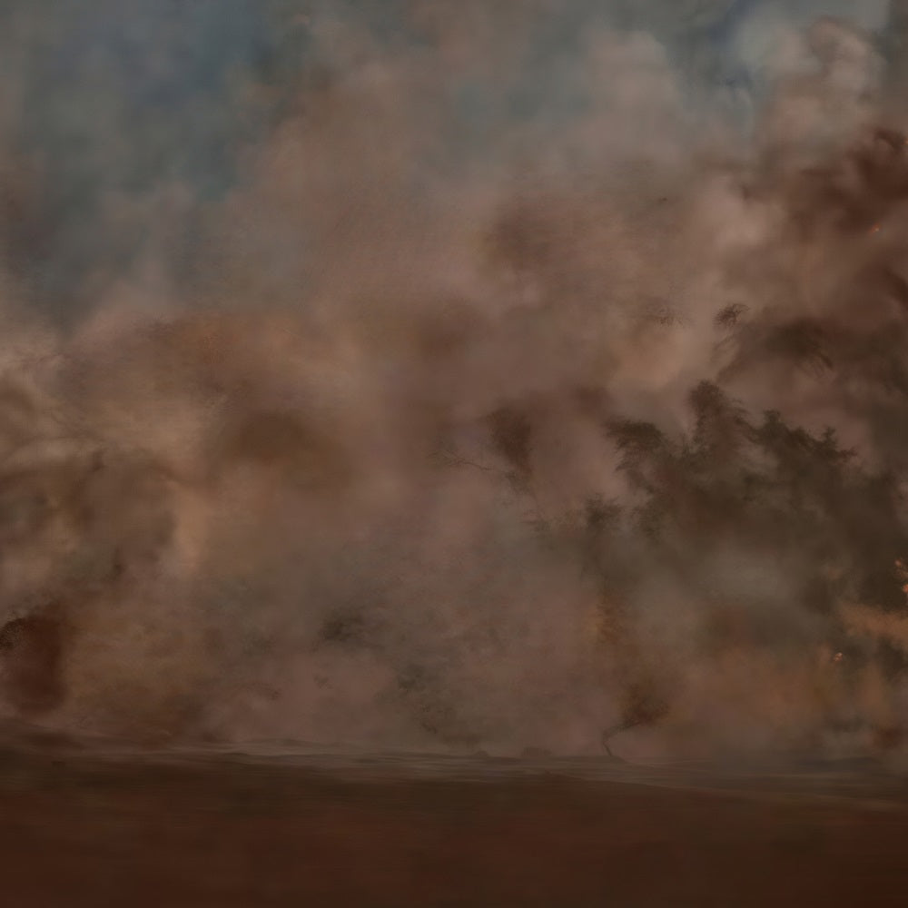 Painting Backdrop Moody Brown Mist Abstract Haze Fine Art Backdrop UK MRR9-65