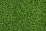 Spring Green Grass Rubber Floor Mat for Photography RM12-53