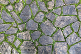 Green Grass and Moss Slate Path Rubber Floor Mat for Photography RM12-54