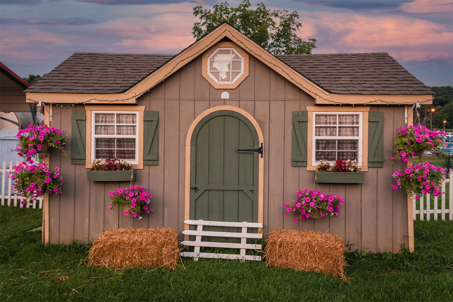 DBackdrop Petunia in Sunset Rustic Barn Backdrop RR3-36