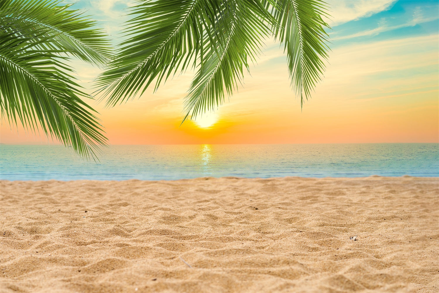 DBackdrop Summer Seaside Beach Coconut Tree Sunset Backdrop RR3-42