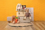 Cute Yellow Brick Wall Bunny Bear Doll Backdrop RR5-12