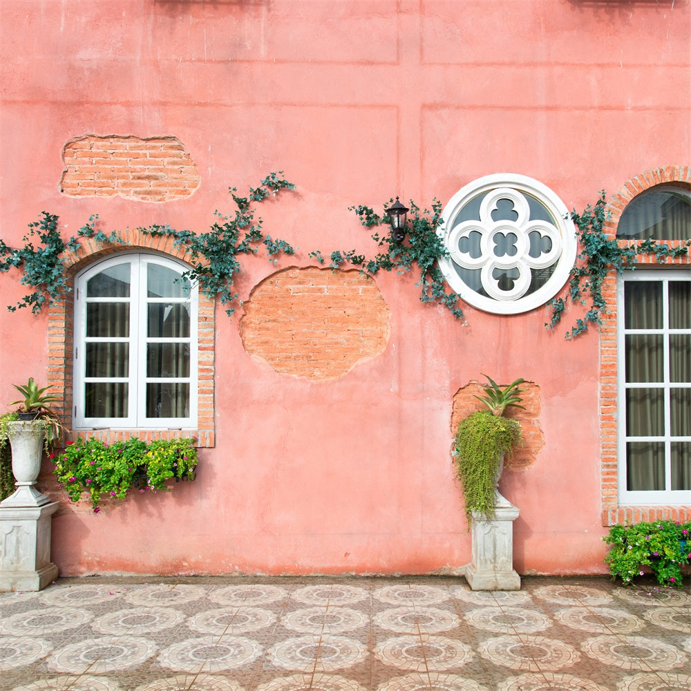 Pink Brick Wall White Window Street Backdrop RR5-8