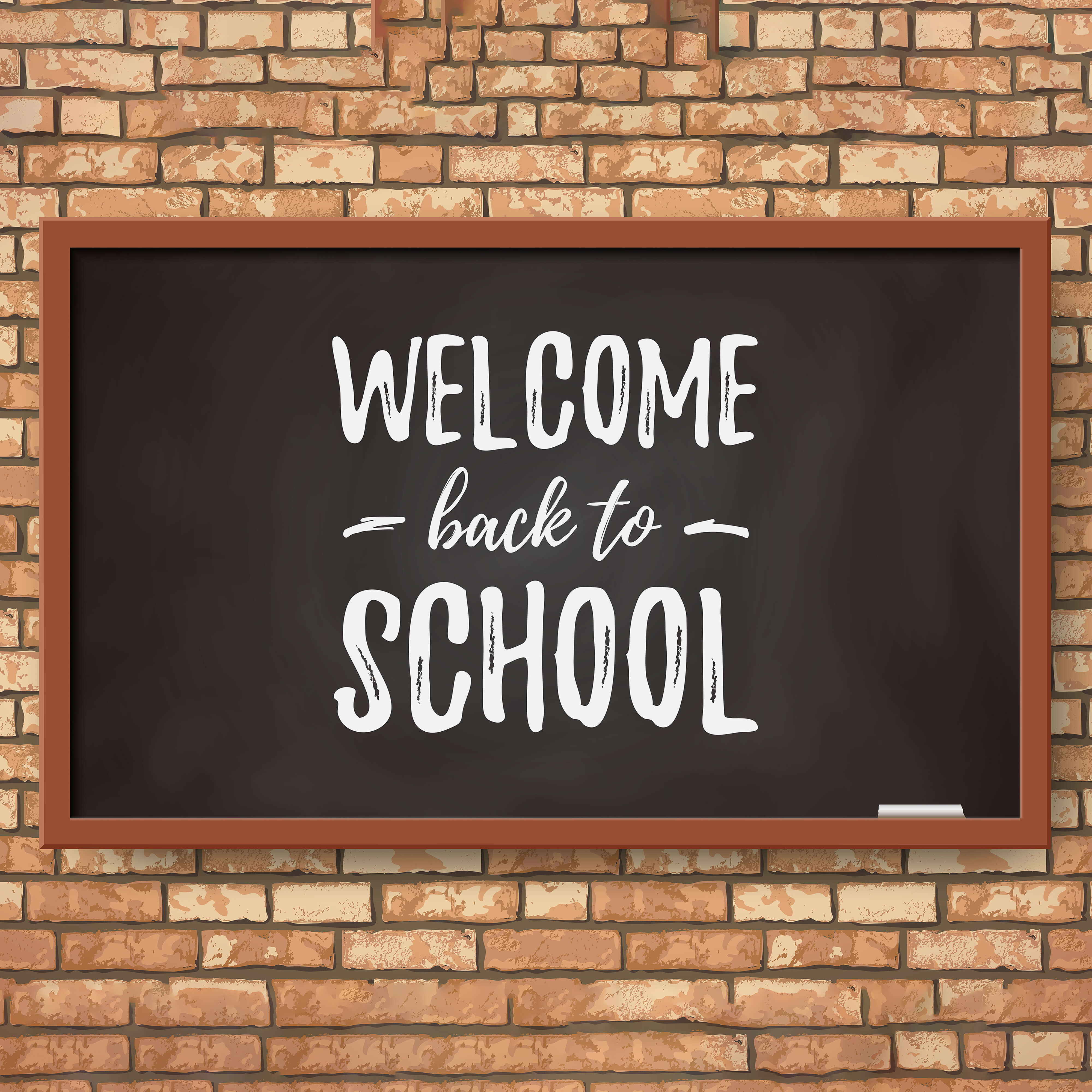 Chalkboard Welcome Back to School Backdrop RR6-28