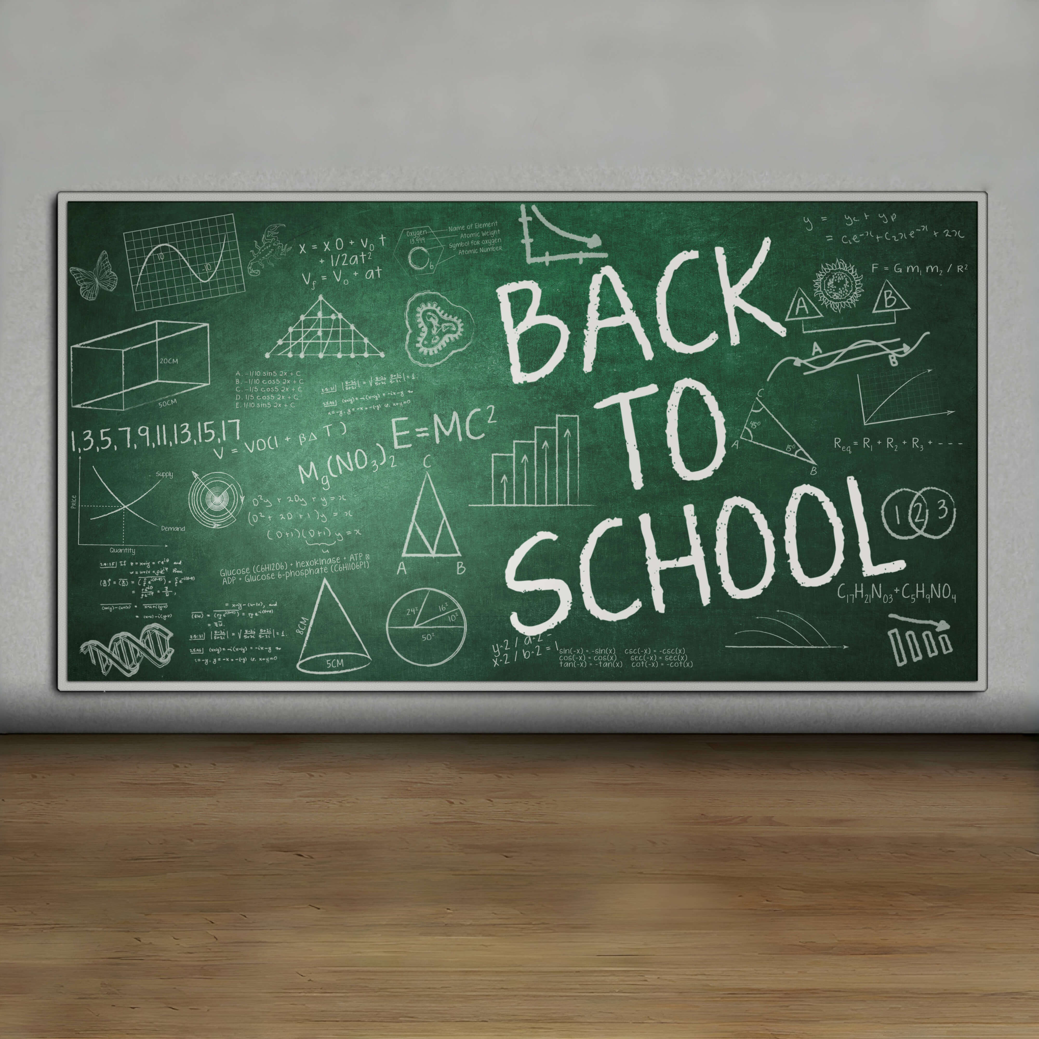 Chalkboard Back to School Photography Backdrop RR6-42