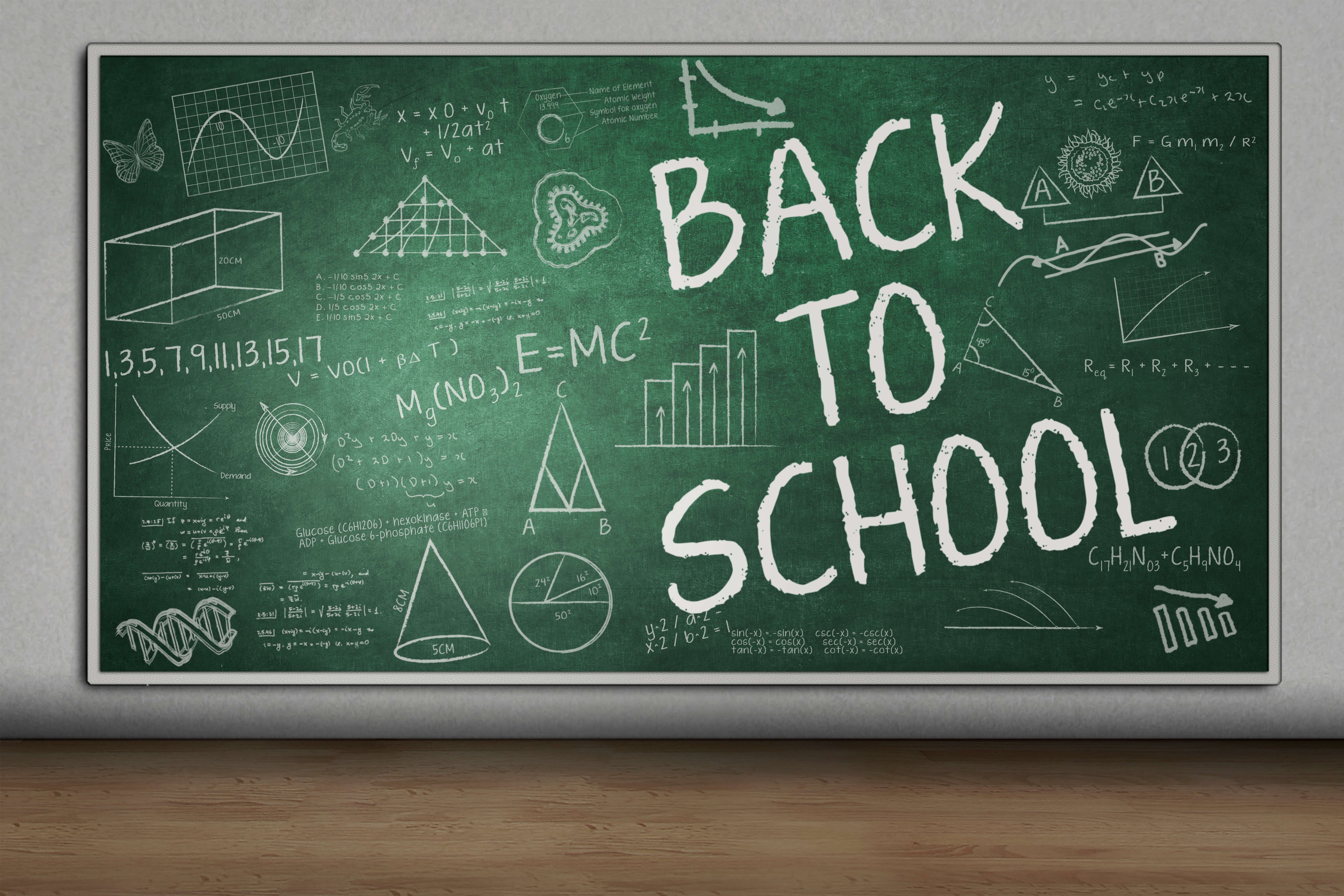 Chalkboard Back to School Photography Backdrop RR6-42