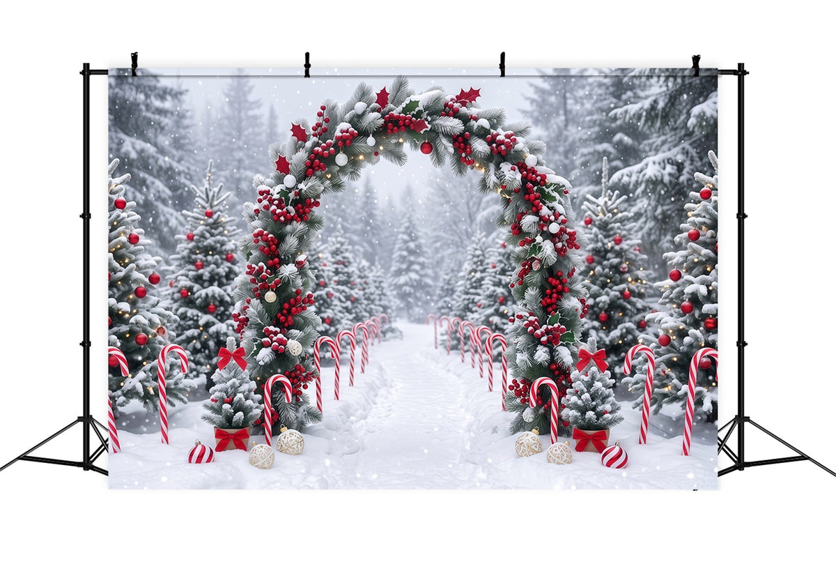 Christmas Backdrop for Photos Snowy Berry Garland Arch Christmas Backdrop for Wall UK RR610-125