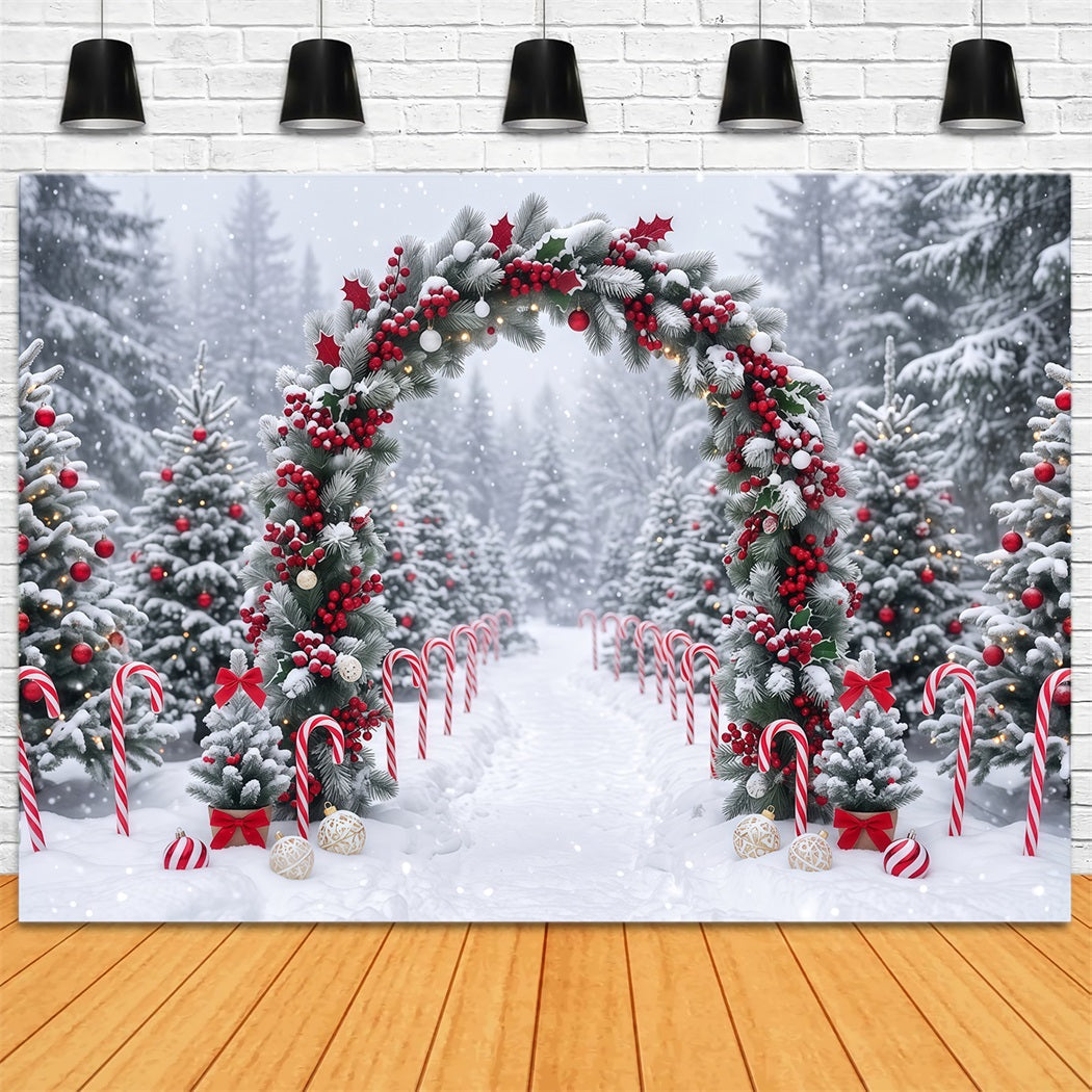 Christmas Backdrop for Photos Snowy Berry Garland Arch Christmas Backdrop for Wall UK RR610-125