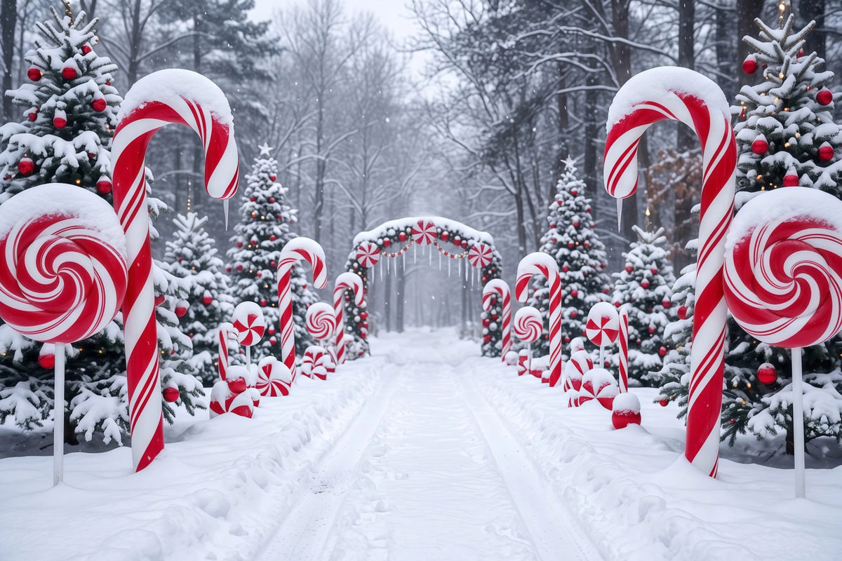 Christmas Candy Cane Backdrop Snowy Forest Pathway Christmas Backdrops for Stage UK RR610-126
