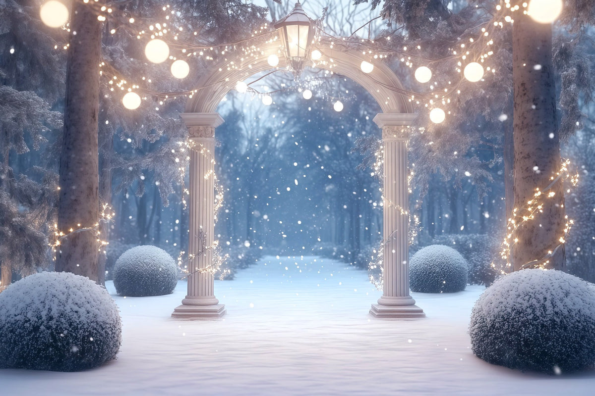 Christmas Forest Backdrop Snowy Illuminated Garden Arch Christmas Port