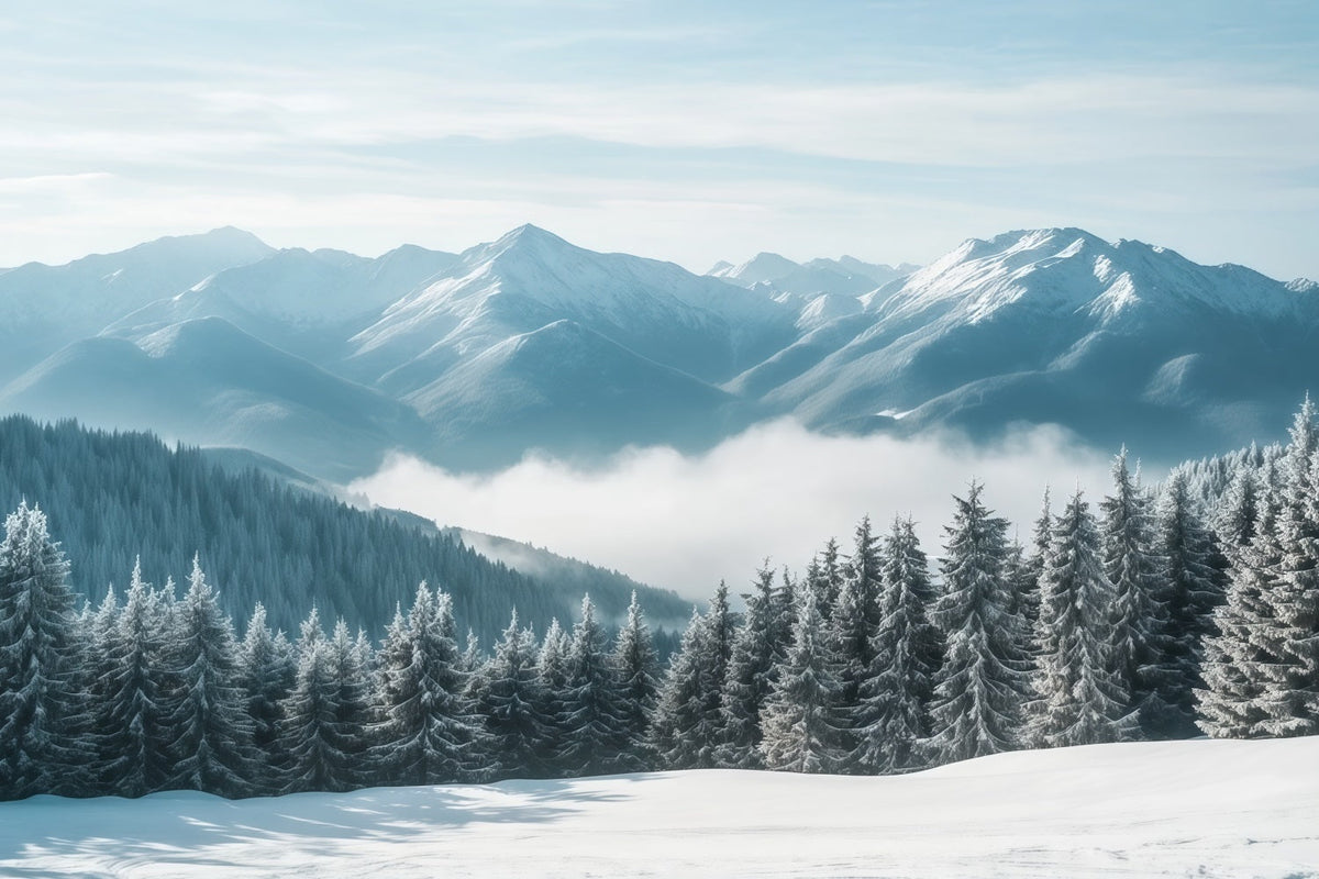 Christmas Winter Wonderland Backdrops Snowy Mountain Mist Forest Christmas Backdrop Scenes UK RR610-159