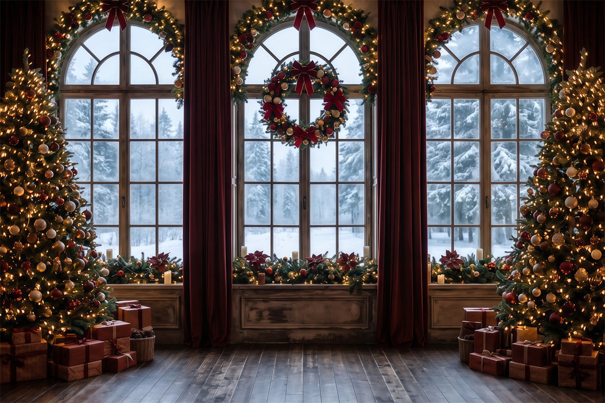 Christmas Backdrops Frosted Window Wreath Display Christmas Backdrop for Photos UK RR610-85