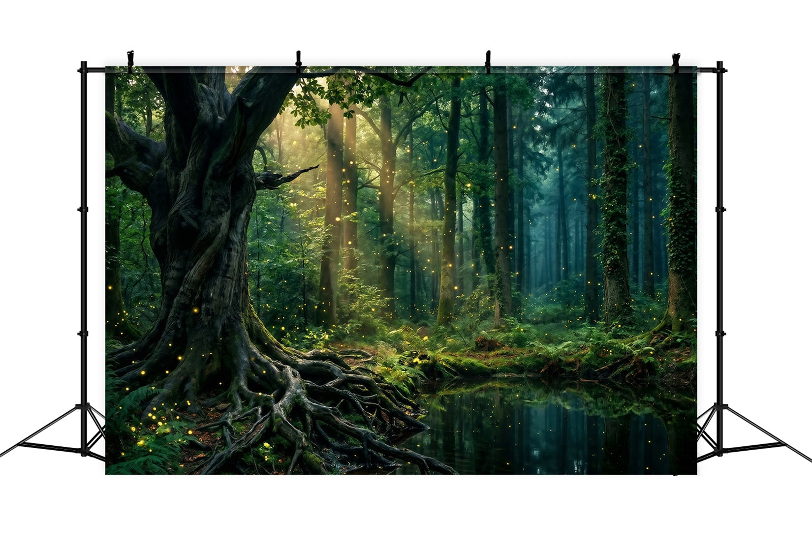 Rainforest Backdrops Sunlit Trees Pond Firefly Glow Roots Photo Backdrop Forest UK RR63-151