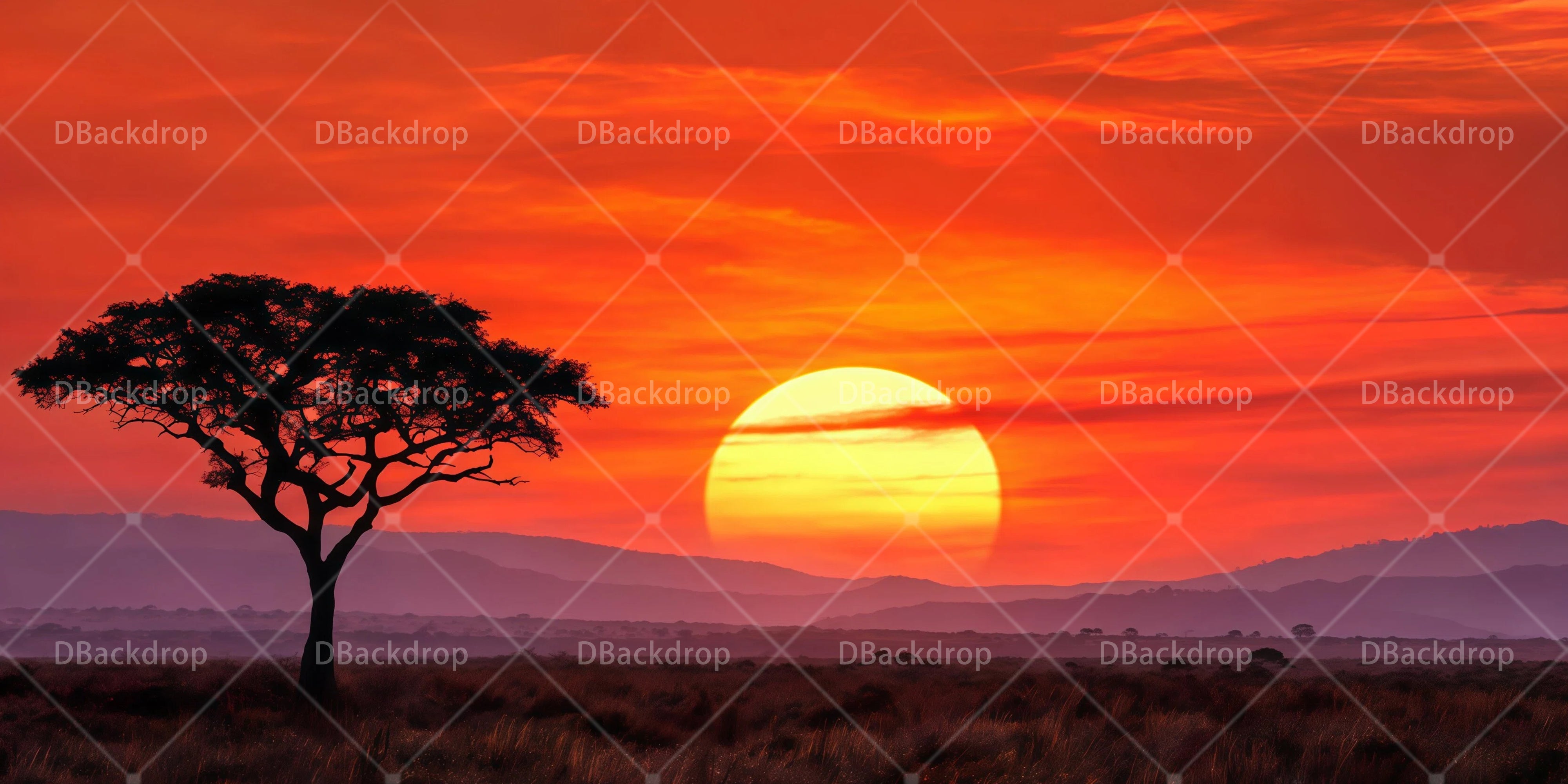 Stage Scenery Backdrops African Sunrise Backdrop For Theater Play UK RR65-T27