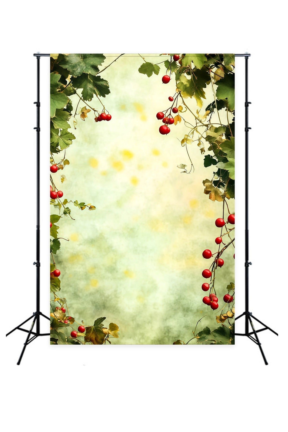 Christmas Greenery Backdrop Berry Green Leaves Frame Photo Christmas Backdrop UK RR69-20