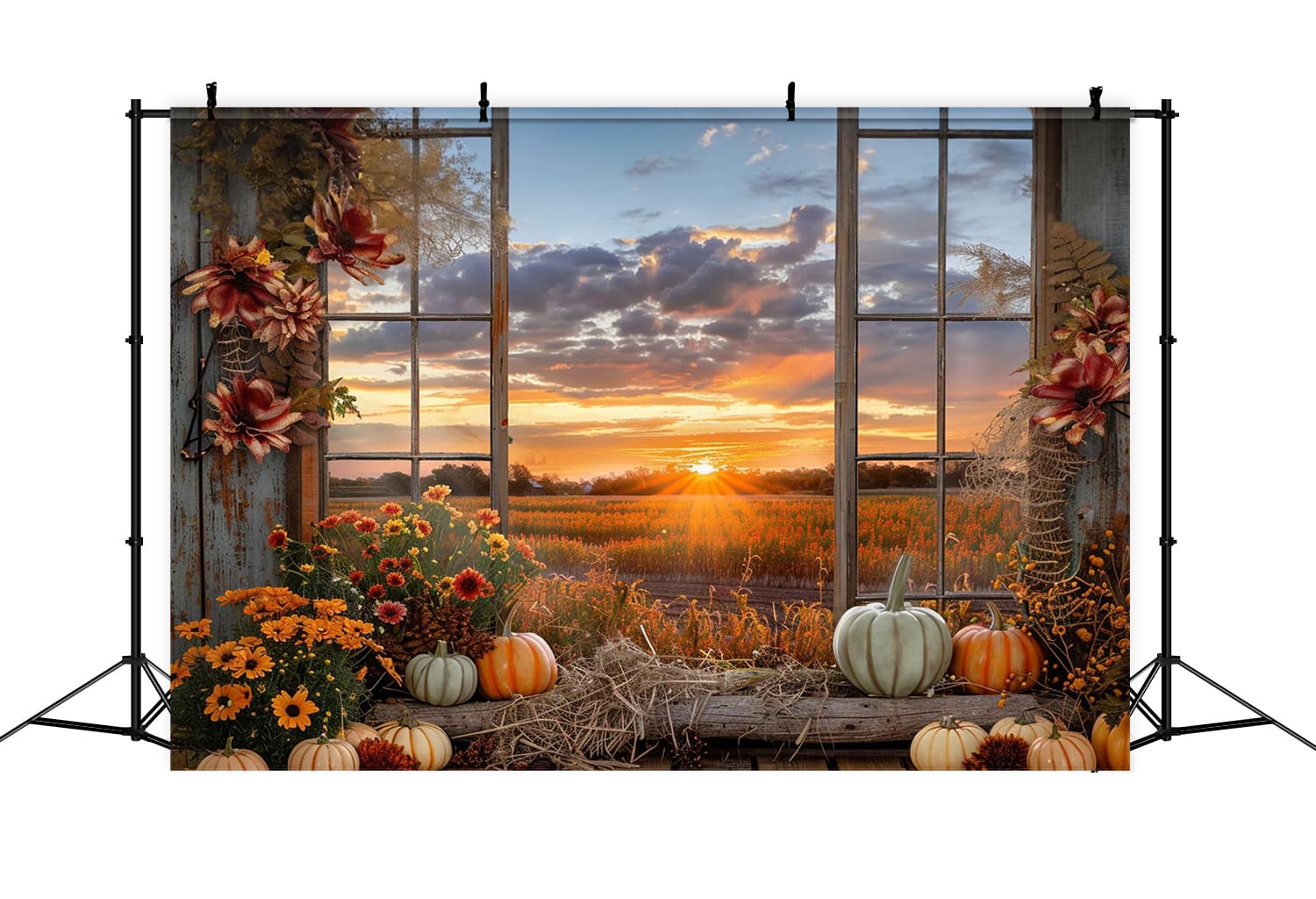 Autumn Pumpkins Window Scenery Backdrop UK RR7-151