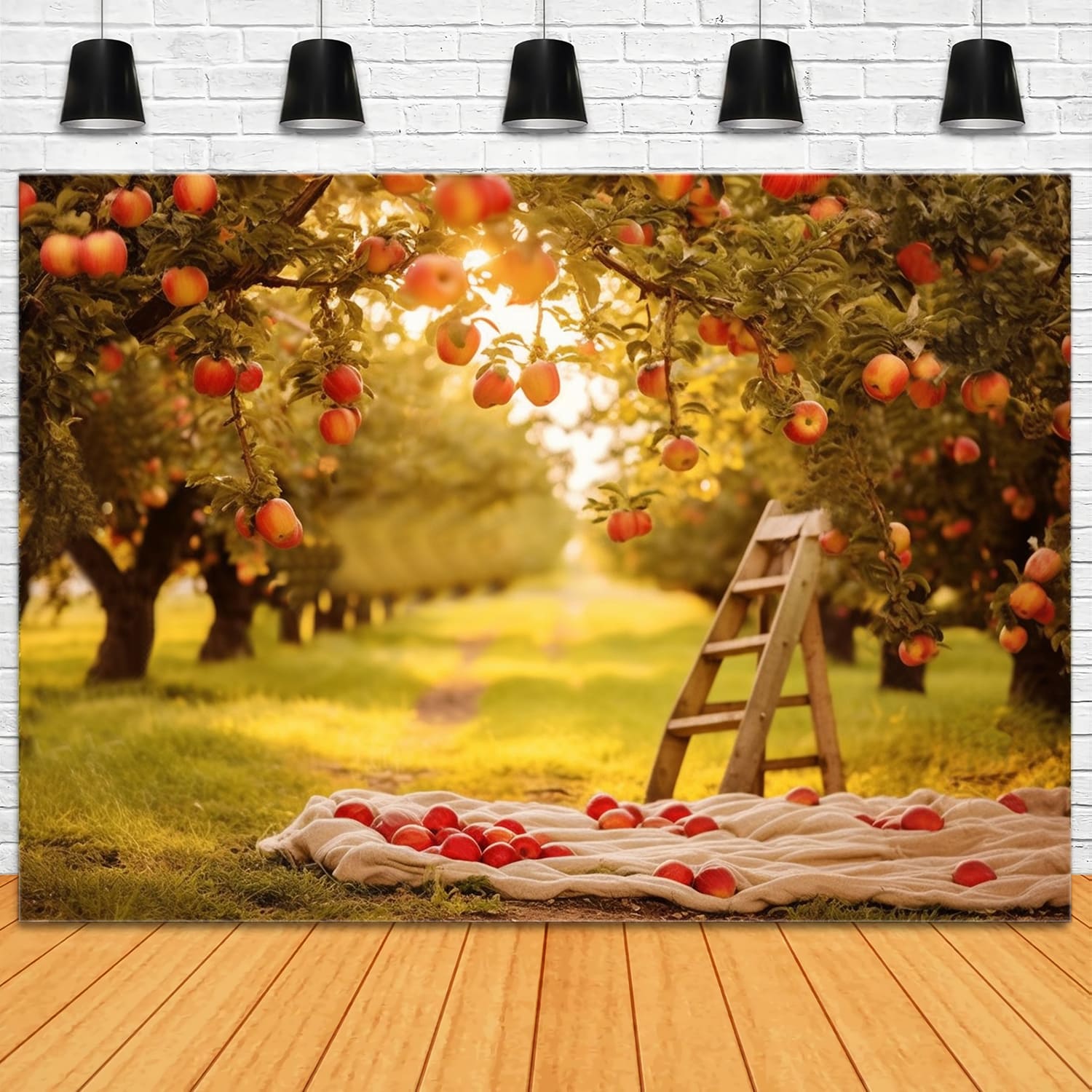 Autumn Apple Trees Field Sunshine Backdrop UK RR7-153