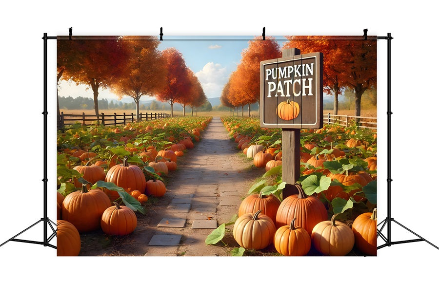 Pumpkin Patch Pathway Autumn Trees Backdrop UK RR7-282