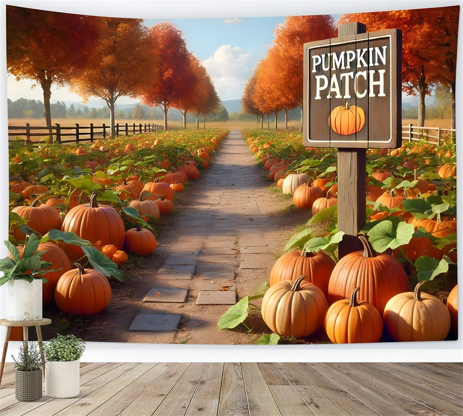 Pumpkin Patch Pathway Autumn Trees Backdrop UK RR7-282