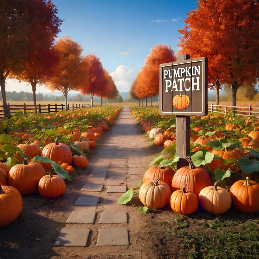 Pumpkin Patch Pathway Autumn Trees Backdrop UK RR7-282