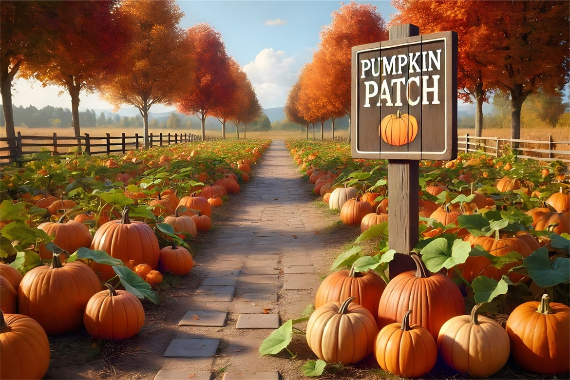 Pumpkin Patch Pathway Autumn Trees Backdrop UK RR7-282