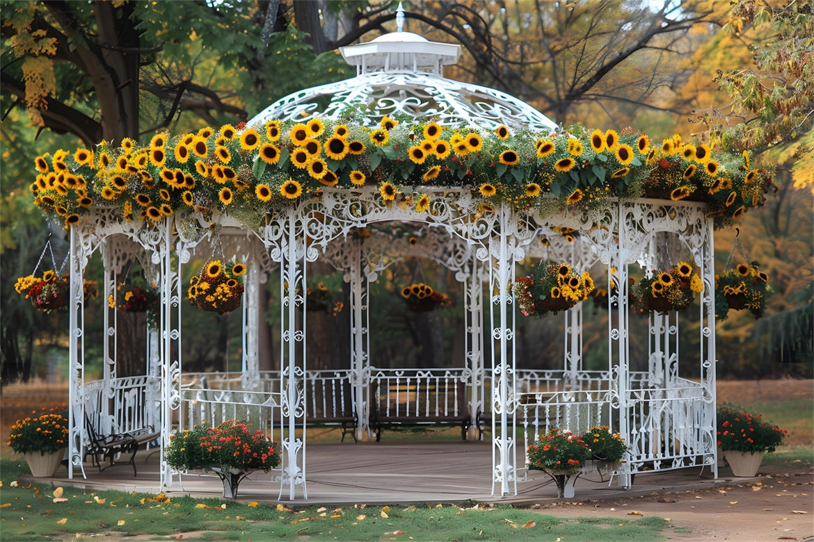 Sunflower Adorned Gazebo Autumn Park Backdrop UK RR7-294