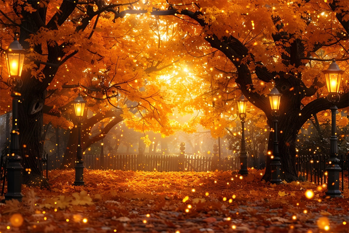 Autumn Lantern Path Autumn Leaves Backdrop UK RR7-357