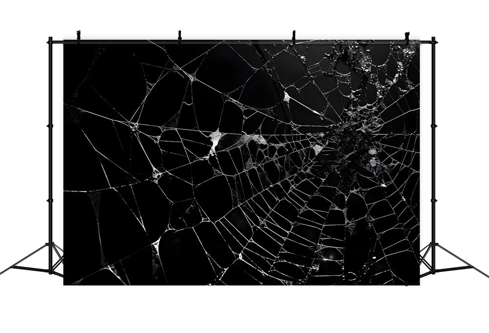 Halloween Spider Web Photography Backdrop UK RR7-482