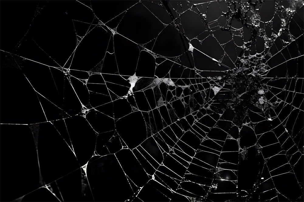 Halloween Spider Web Photography Backdrop UK RR7-482