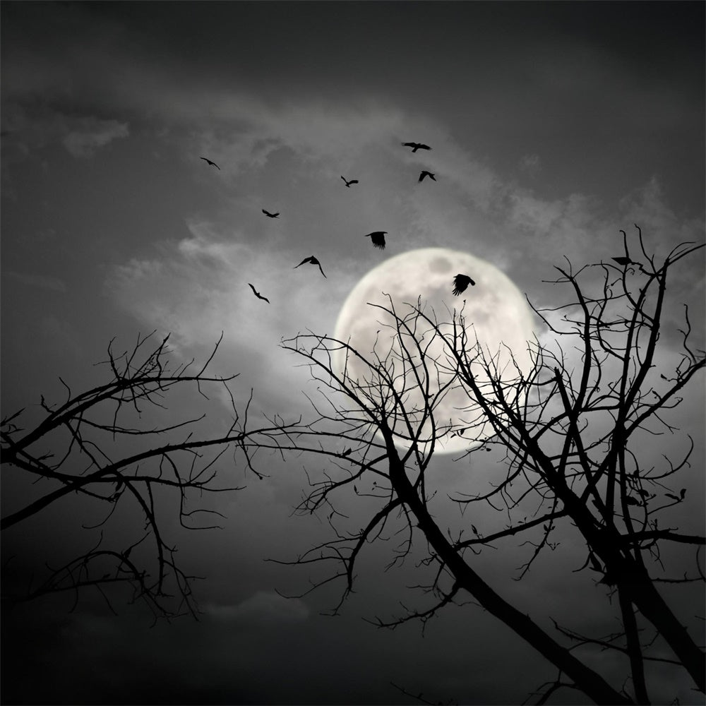 Halloween Night Dark Sky Moon Bats Backdrop UK RR7-487