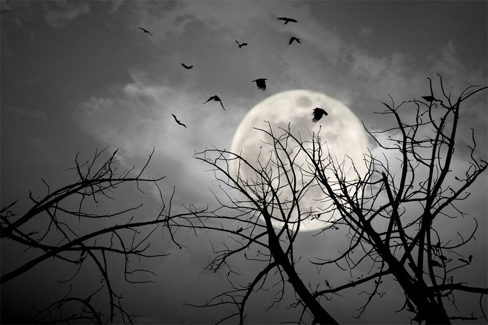 Halloween Night Dark Sky Moon Bats Backdrop UK RR7-487