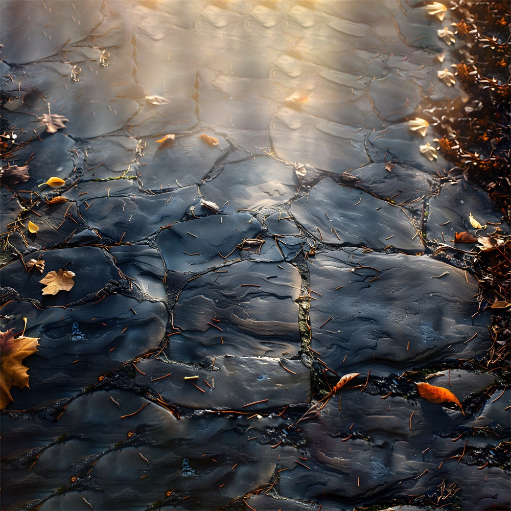 Sunny Slate Path Autumn Leaves Floor Backdrop UK RR7-523