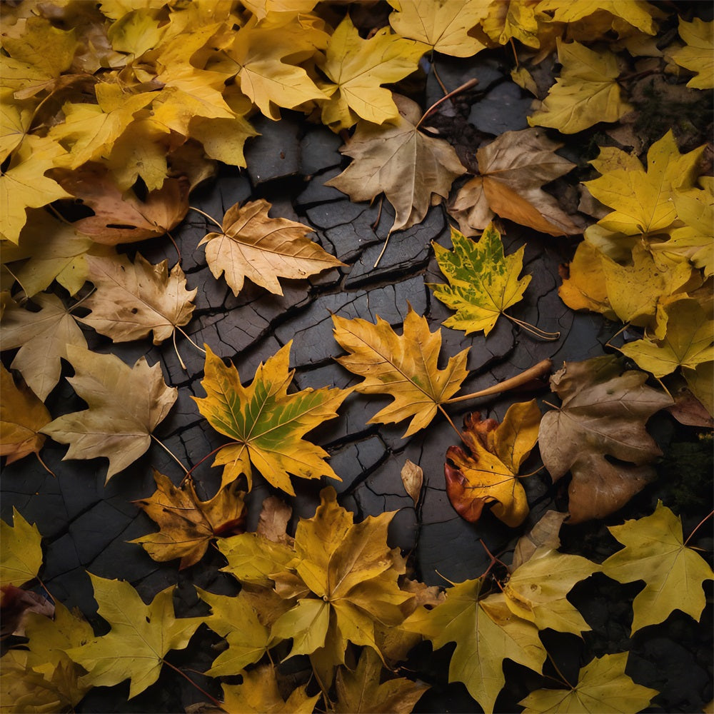 Autumn Leaves On Dark Land Floor Backdrop UK RR7-524