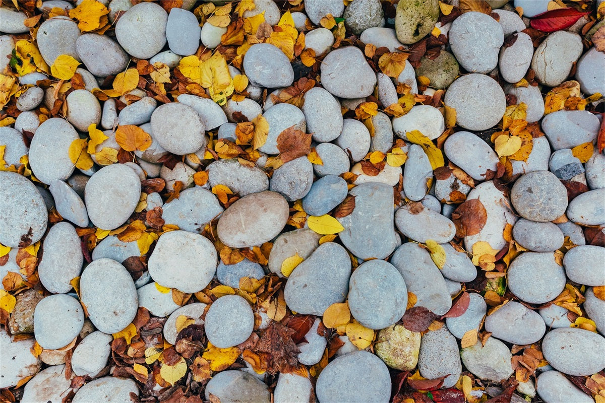 Leaves Staggered Pebble Floor Backdrop UK RR7-528