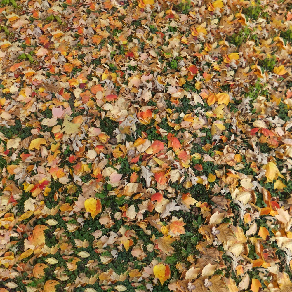 Withered Maple Leaves Grass Floor Backdrop UK RR7-531