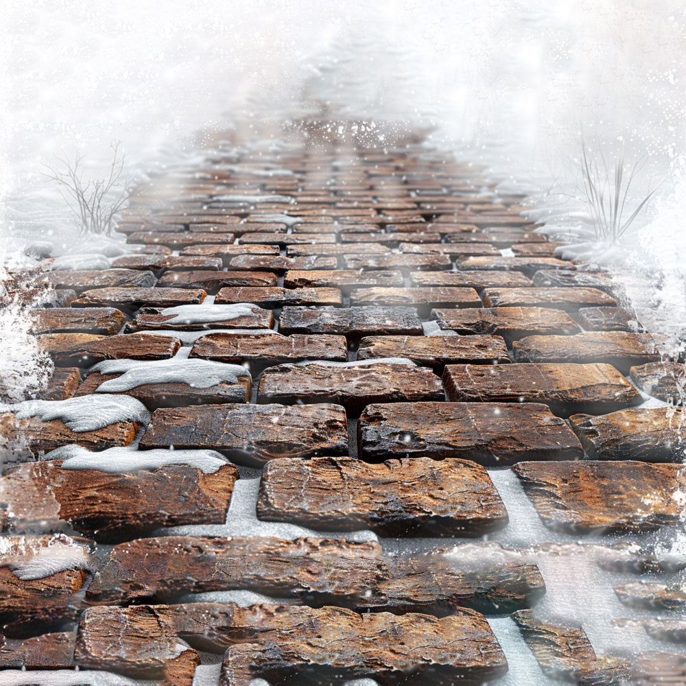 Snowy Stone Tile Trail Floor Backdrop UK RR7-540