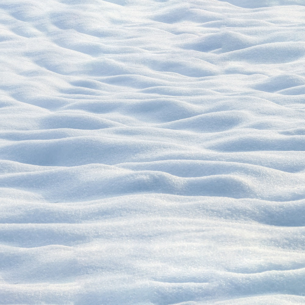 Snowy Winter Wonderland Floor Backdrop UK RR7-552