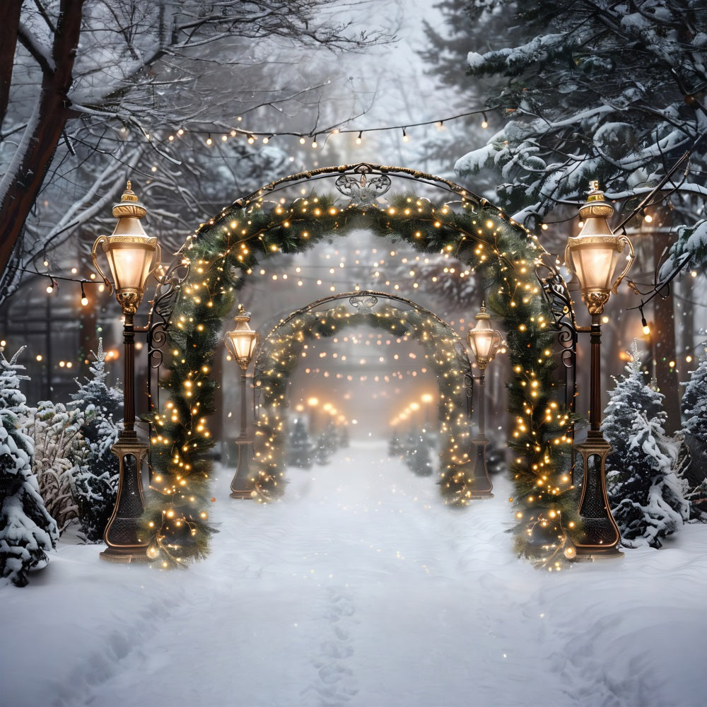 Christmas Sparkling Archway Path Backdrop UK RR7-589