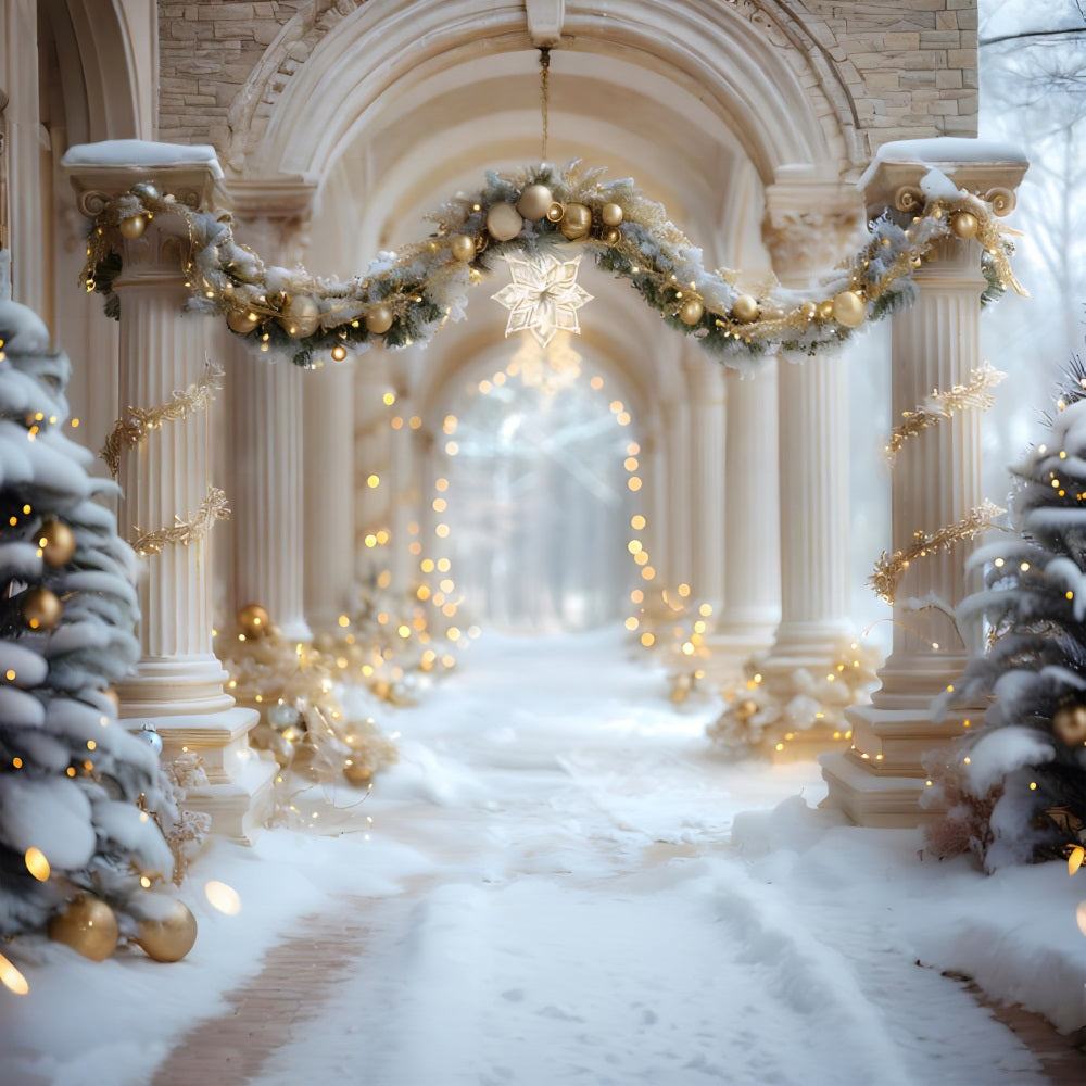 Christmas Winter Palace Walkway Backdrop UK RR7-612